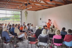 a woman playing a violin in a room with a group of people