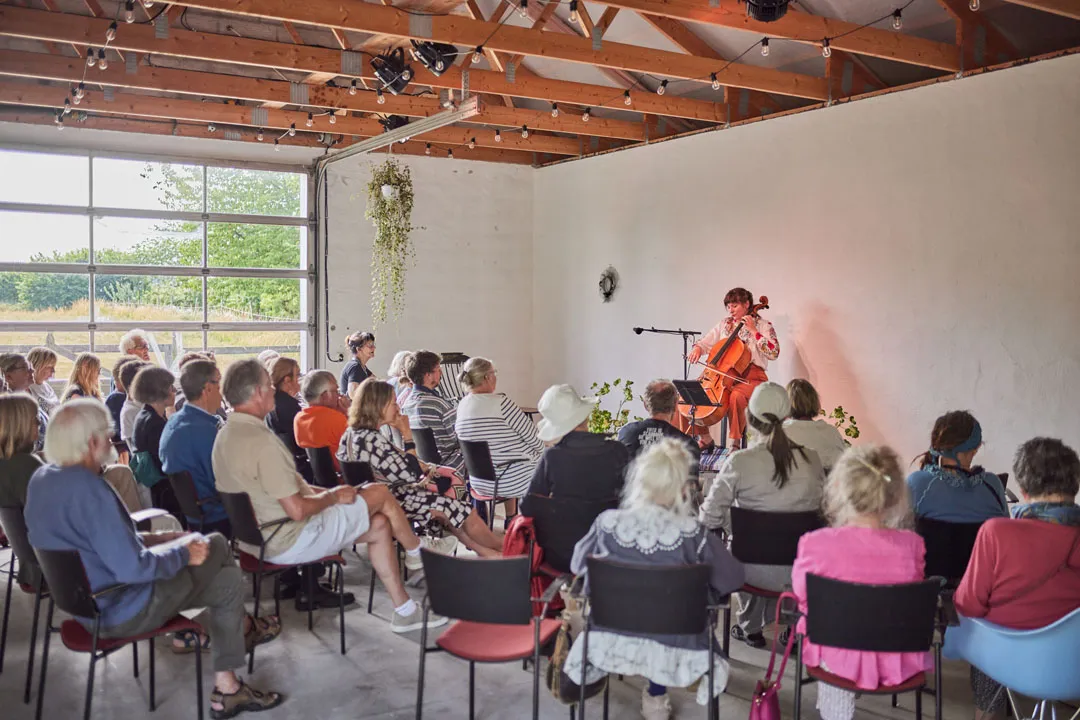 a woman playing a violin in a room with a group of people