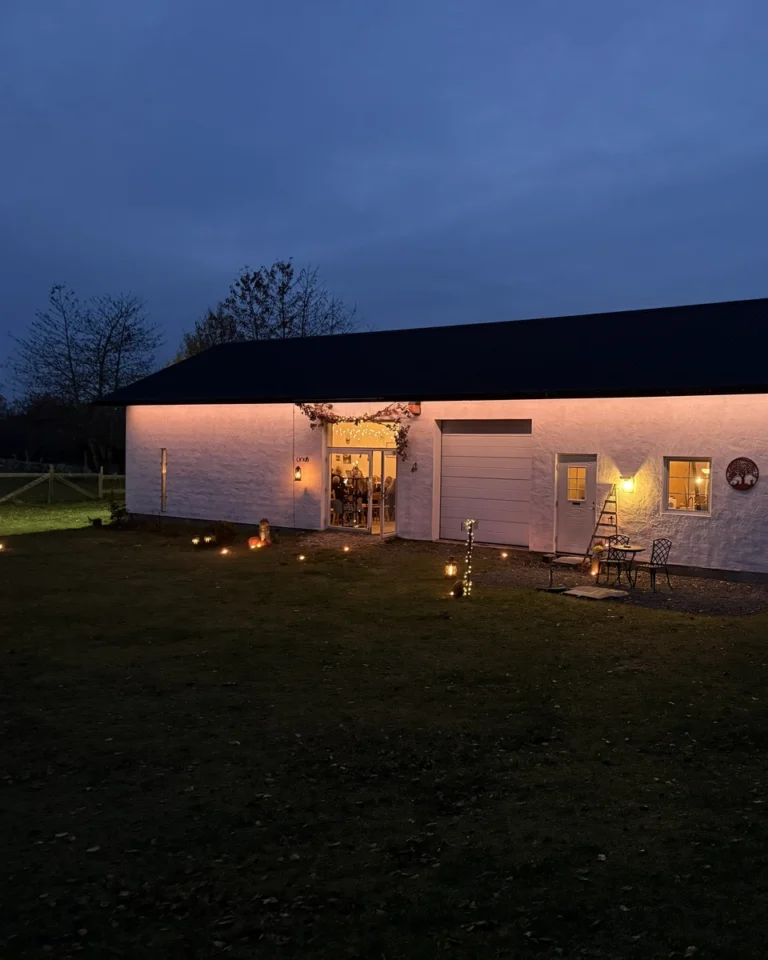 Publik i Musikateljén under konsert